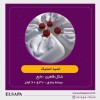 فروش ویژه اسید استیک | ارسال به سراسر کشور