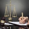 وکیل خانم در میدان سرو