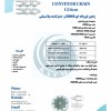 PLASTIC CONVEYOR CHAIN CC600 زنجیر قورباغه ای CC60