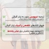 ترجمه غیر رسمی متون زبان آلمانی و تهیه انگیزه نامه