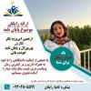 کسب نمره عالی در پروپوزال و مقاله