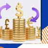 انتقال ارز در فردیس