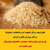 توزیع ماسه سیلیسی  و سنگ سیلیس دانه بندی شده مخصوص سند بلاست