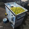 قیمت آبغوره گیری در قم
