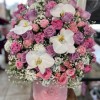 حمیدرضا محمدزاده