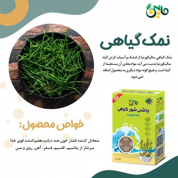نمک گیاهی (سالیکورنیا)