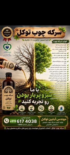سرکه چوب توکل