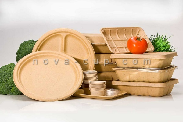 ظروف یکبار مصرف گیاهی