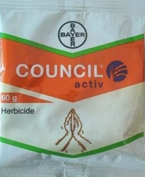 کانسیل اکتیو (COUNCIL ACTIV)